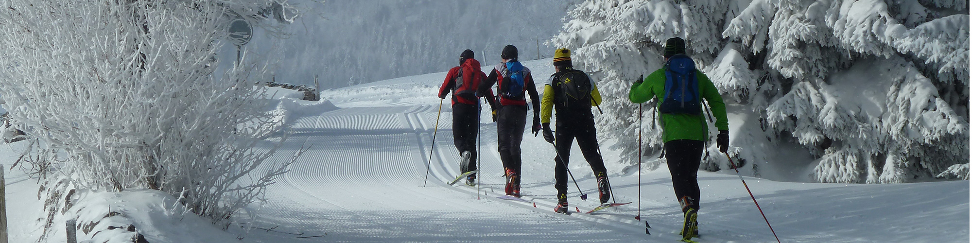 image de pistes de ski de fond